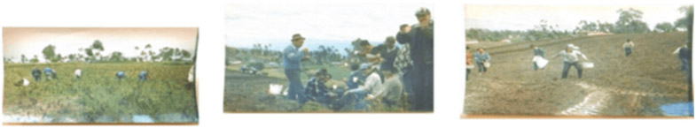 food rations distribution