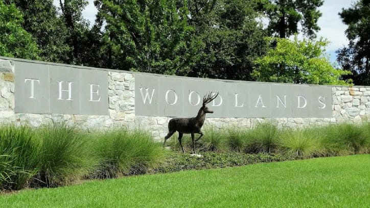 the woodlands