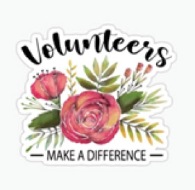 volunteers home library